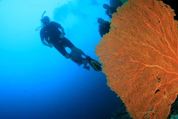 Crédence de cuisine en verre imprimé Plonger Plongée sous-marine récif de corail et poissons