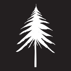 White Pine Tree. Drawing Vector illustration.