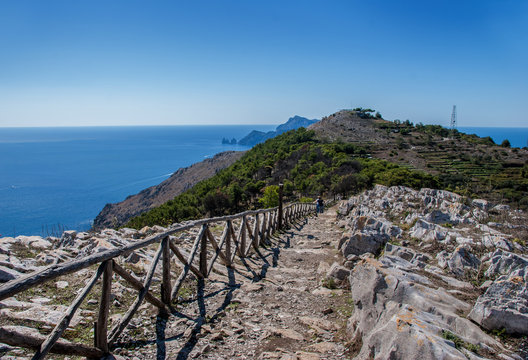Build wooden fences in park Punta Campanella
