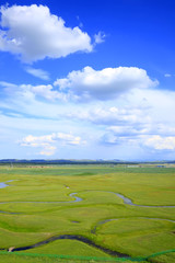 The river on the grassland