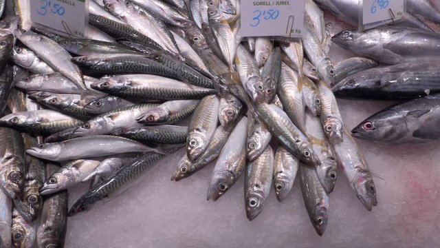 Fish in the market La Boqueria in Barcelona
