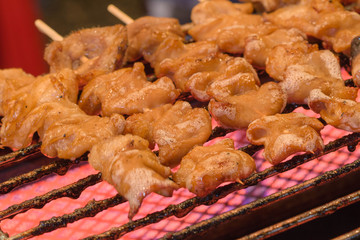 close-up roast pork On the grill