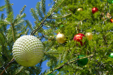 青空とクリスマスツリー