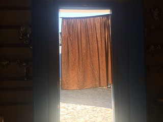 Door with curtain