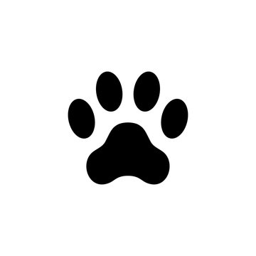 Cat paw print. Footprint. Animal paw isolated on white background