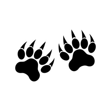 Animal paws with claws. Tiger paw