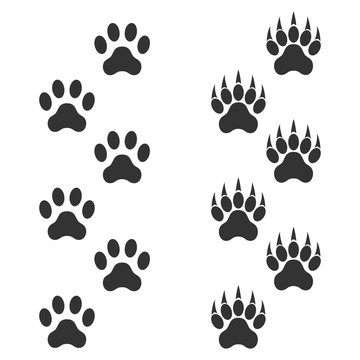 Dog paw and tiger paw with claws. Trace animal. Black footprints isolated on white background