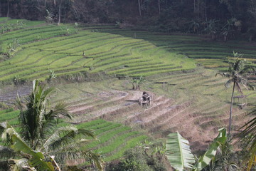 The Office of Rural Citizens