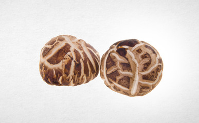 Mushroom or Dried Mushroom on a background.