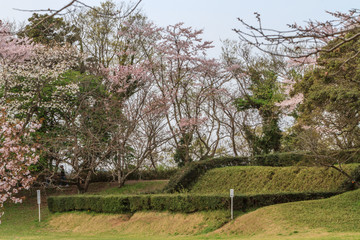 春の佐倉城跡の本丸跡と天守跡