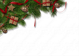 Christmas firtree with cone on white texture background