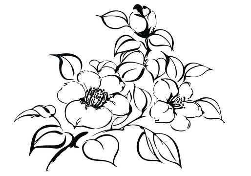 寒椿 Images Browse 752 Stock Photos Vectors And Video Adobe Stock 寒椿 Images Browse 752 Stock Photos Vectors And Video Adobe Stock
