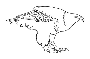 Eagle line art 09. Good use for symbol, logo, web icon, mascot, coloring book, sign, or any design you want.