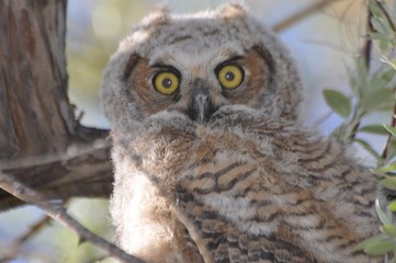 Look at thow eyes
