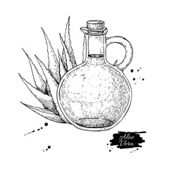 Aloe Vera juice in pitcher bottle. Hand drawn vector illustratio