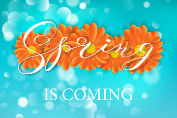 Spring lettering design logo. Decorative typography element with flowers on green background with bokeh. Season colors label. Spring is coming