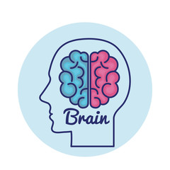 creative brain concept icon vector illustration design