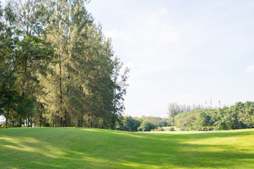 A lush green golf course under the blue sky.