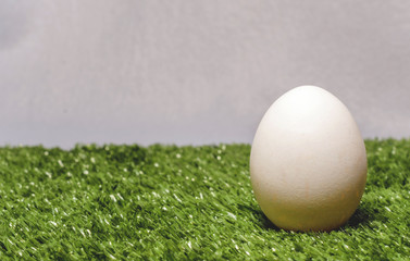 Chicken egg on artificial grass. Waiting for the birth of a new life