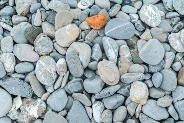 pebbles on the beach