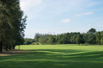 A lush green golf course under the blue sky.