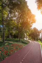 Jogging road in the Pudong district, Shanghai, China