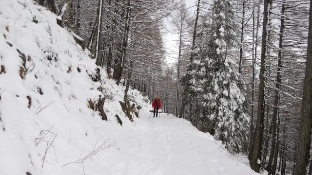 Trekking in inverno nella foresta di montagna