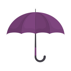 umbrella  vector illustration