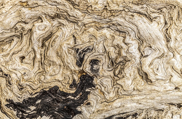 Abstract driftwood pattern