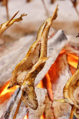 Fish Ayu with salt being charcoal broiled in Japan.                     