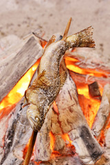Fish Ayu with salt being charcoal broiled in Japan.                     