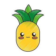 pineapple  vector illustration
