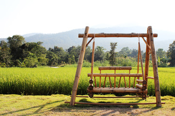 Fototapeta na wymiar Rice field, beautiful green rice, abundant clear sky in Chiang Mai, Thailand.