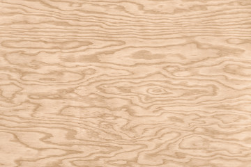 Fototapeta na wymiar Texture of hardwood material
