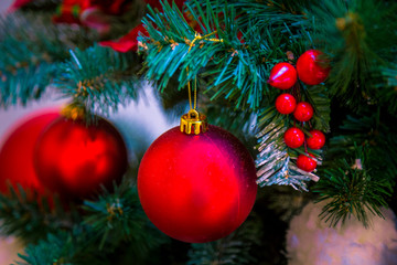Christmas decorations on the branches of fir tree