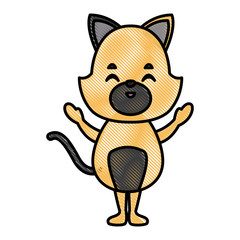 Cute cat cartoon icon vector illustration graphic design