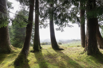 Meine Lieblingswanderung auf Madeira