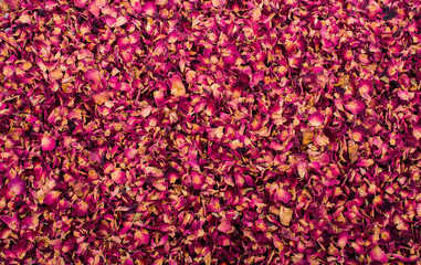 Background of dried  rose petals