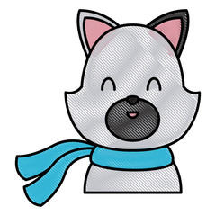 Cute cat with scarf cartoon icon vector illustration graphic design