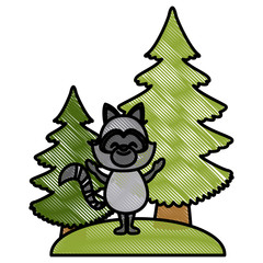 Raccoon with christmas tree icon vector illustration graphic design
