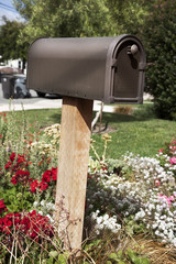 Letter Box. USA