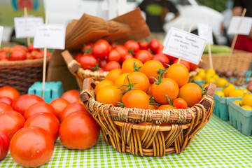 Organic red and golden tomatoes at farmers' market.