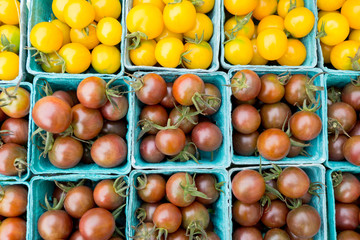 Organic black and yellow cherry tomatoes at a Farmer's Market