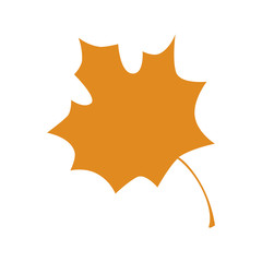 mapple leaf isolated icon vector illustration design