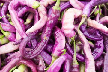 Chilli Pepper closeup at a Farmer's Market.