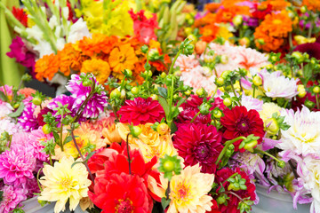 Beautiful Dahlia bouquets at the farmers market.