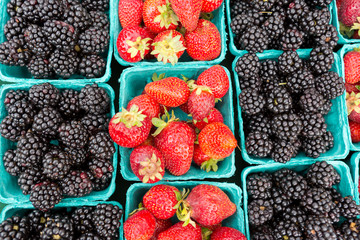 Organically grown strawberries, blackberries for sale at the farmers' market.