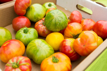 Organic tomatoes at farmers' market.
