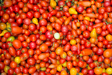 Organic red cherry tomatoes at a Farmer's Market
