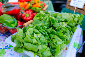 Freshly picked organic lettuce on farmer's market.